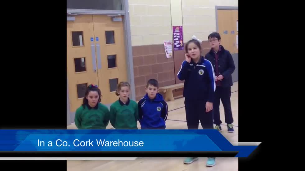 Cea News report. S&A